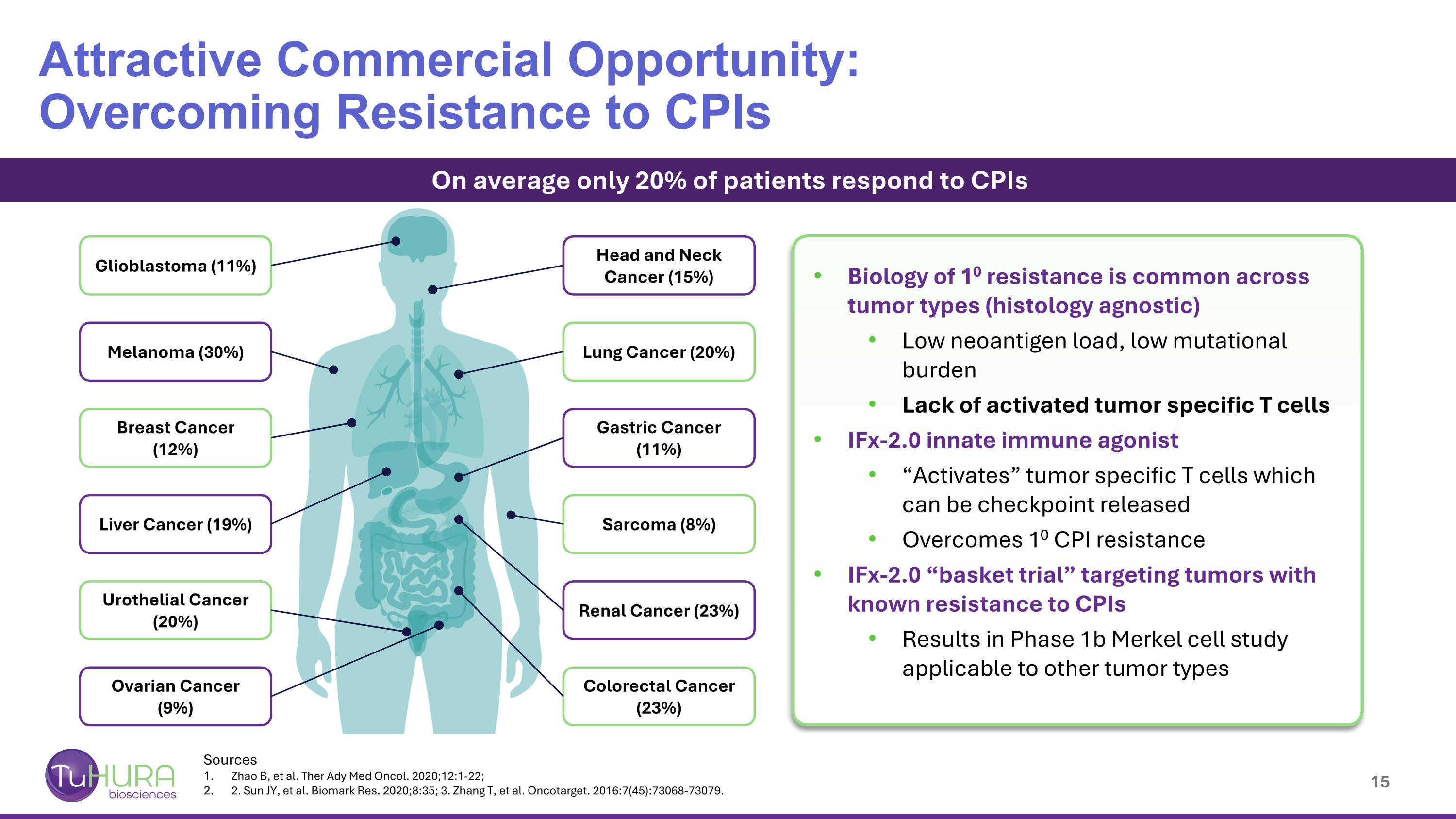 Slide 15