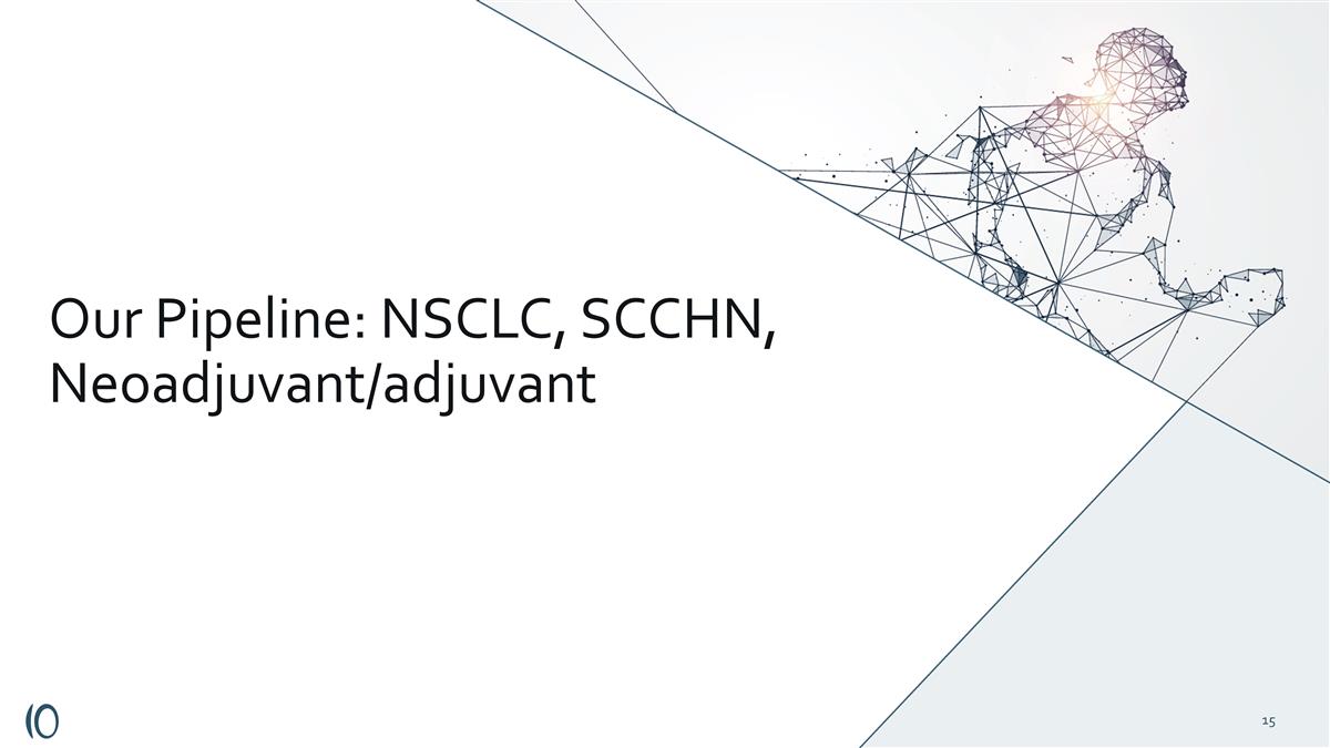 Slide 15