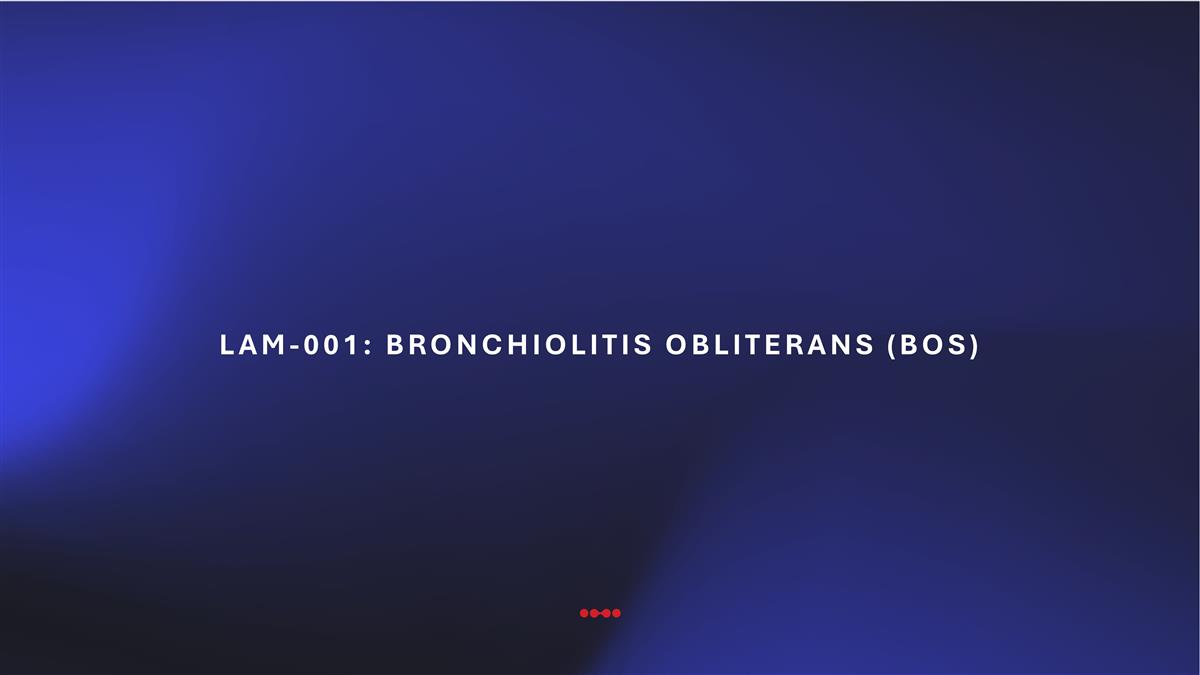 Slide 20