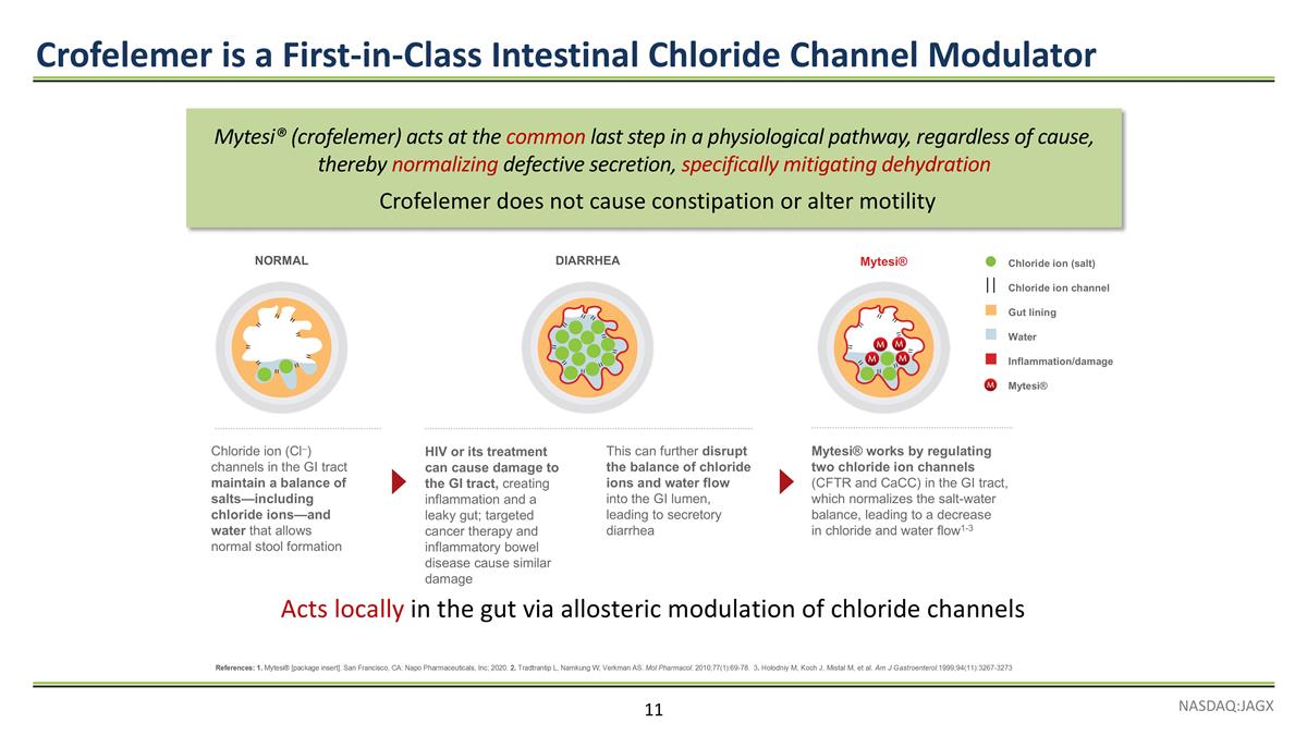 Slide 11