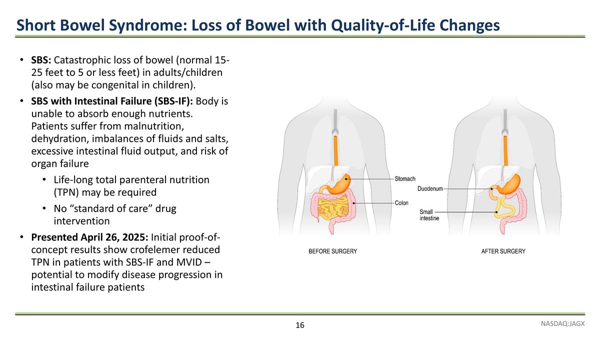 Slide 16