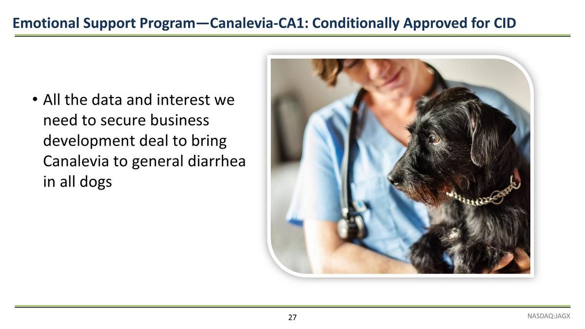 Slide 27