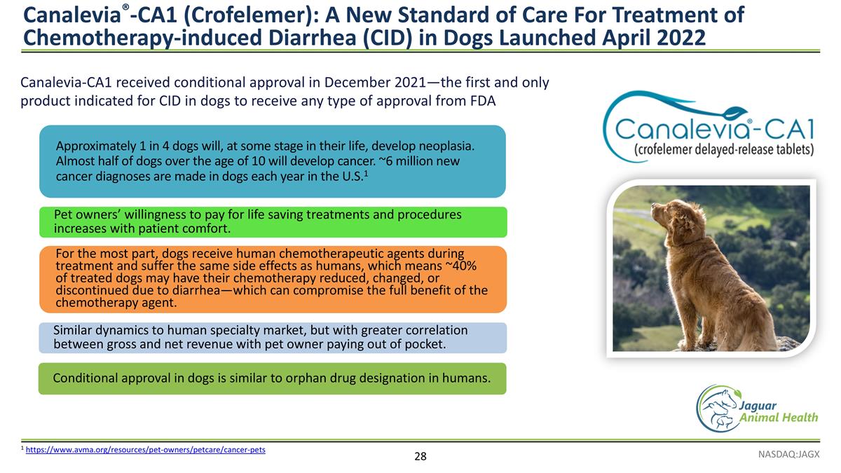 Slide 28
