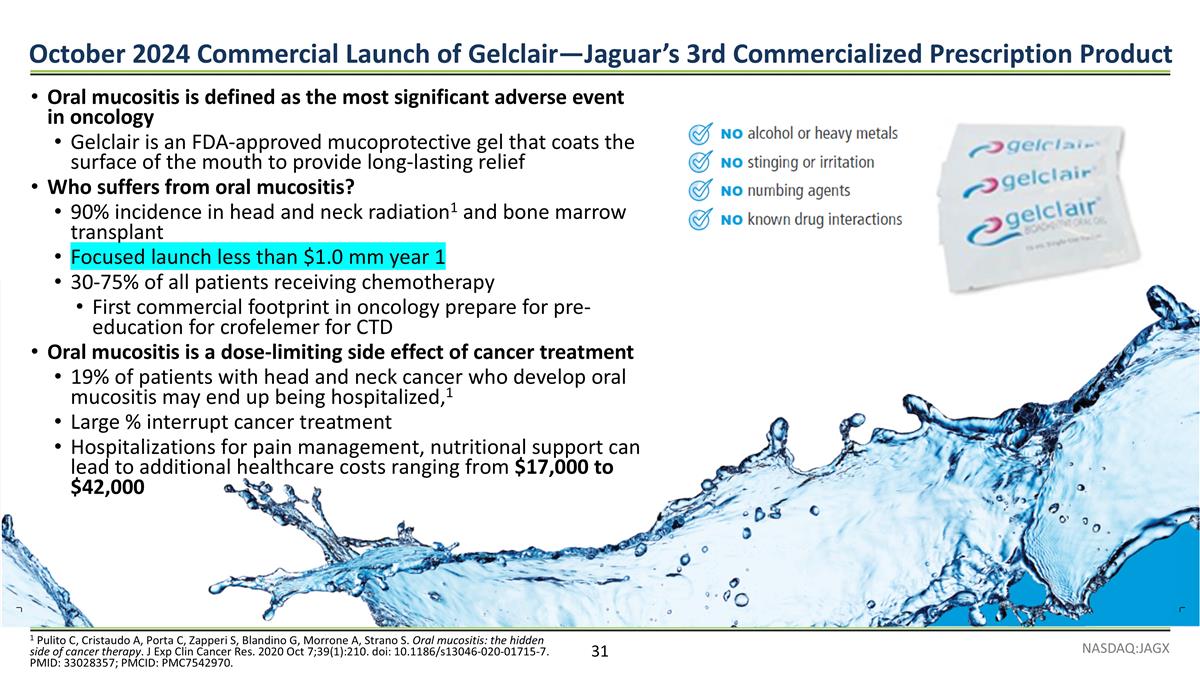 Slide 31