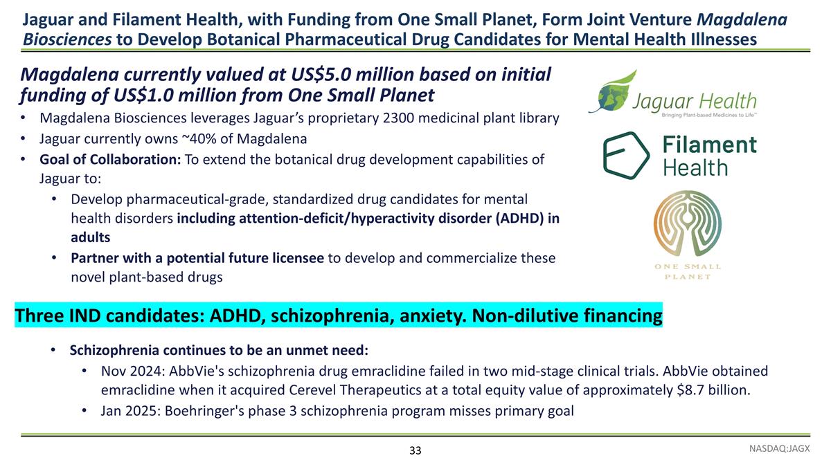 Slide 33