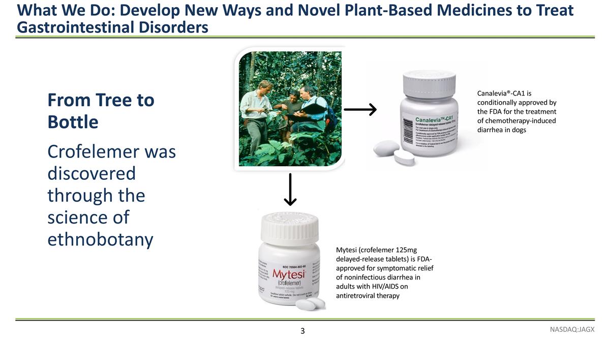 Slide 3