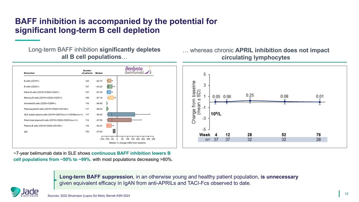 Slide 12