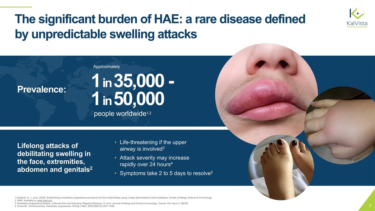 Slide 7