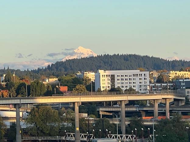 A bridge over a city

Description automatically generated
