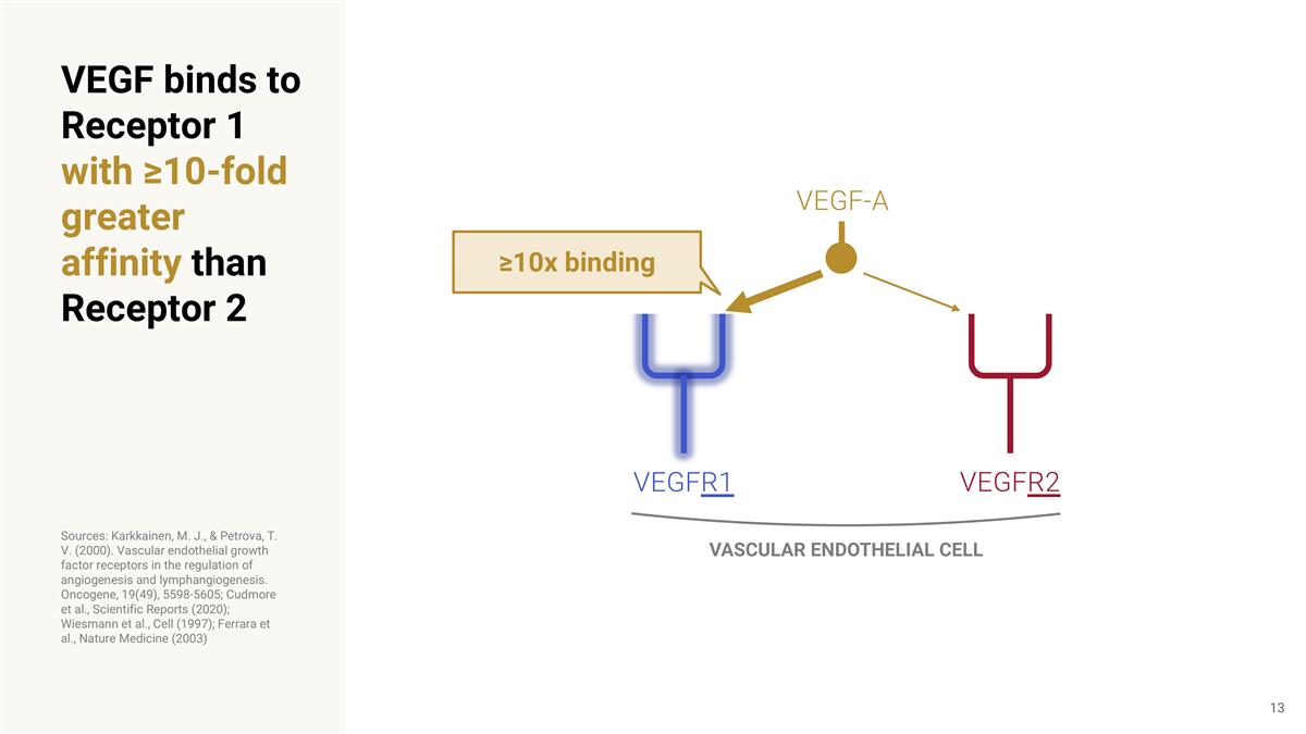 Slide 13
