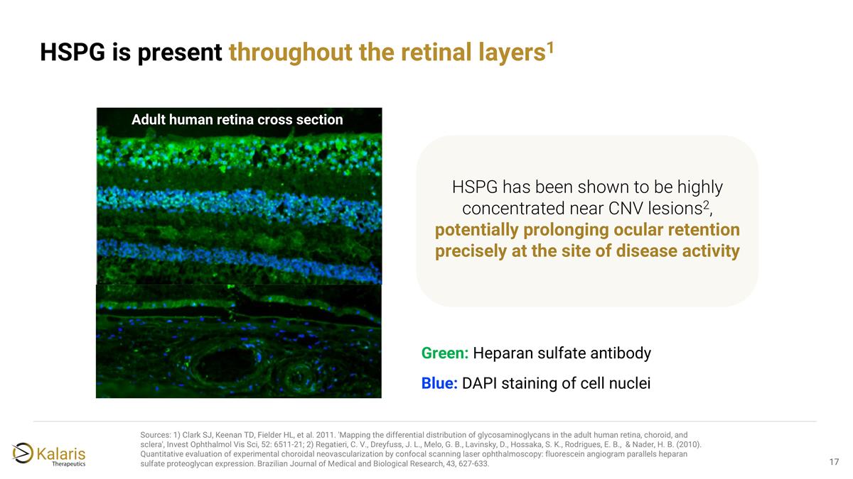 Slide 17