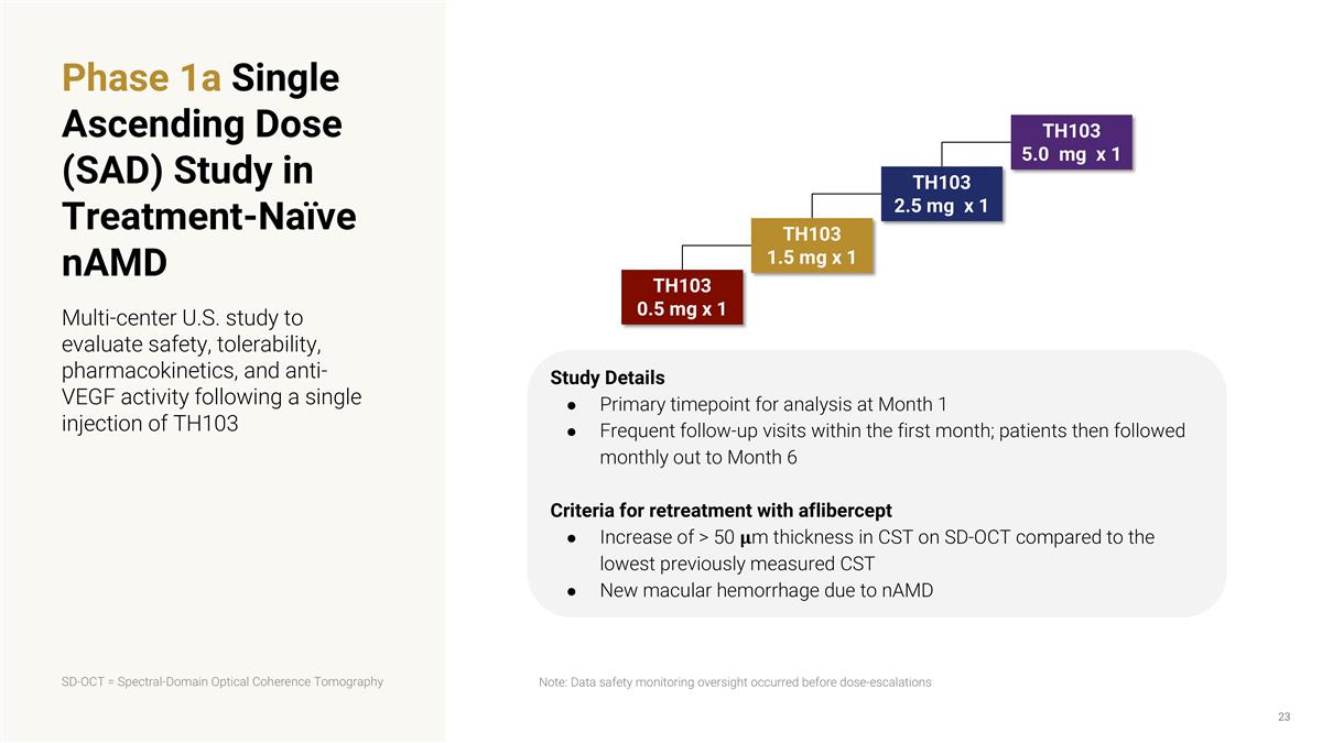 Slide 23