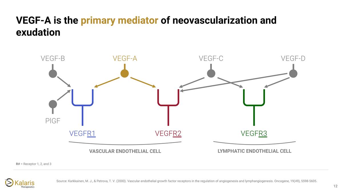 Slide 12