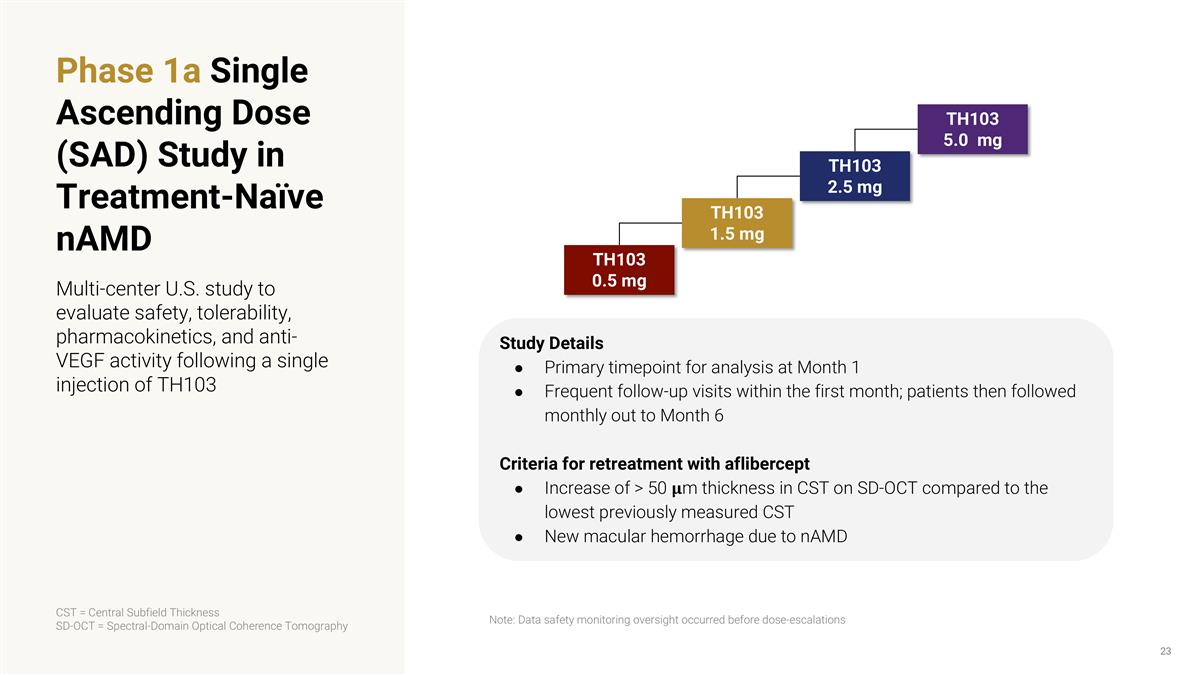 Slide 23