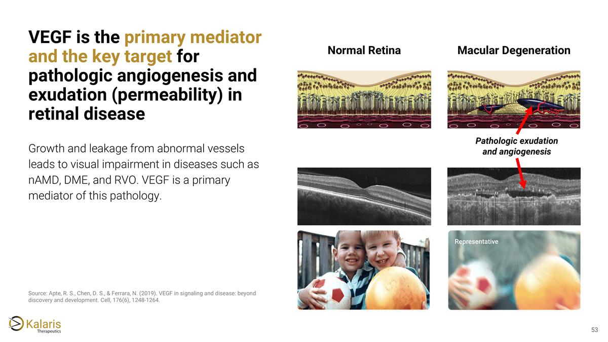 Slide 53