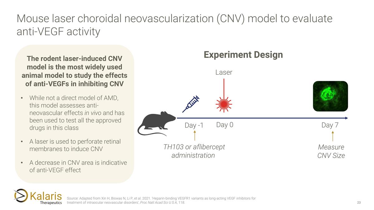 Slide 23