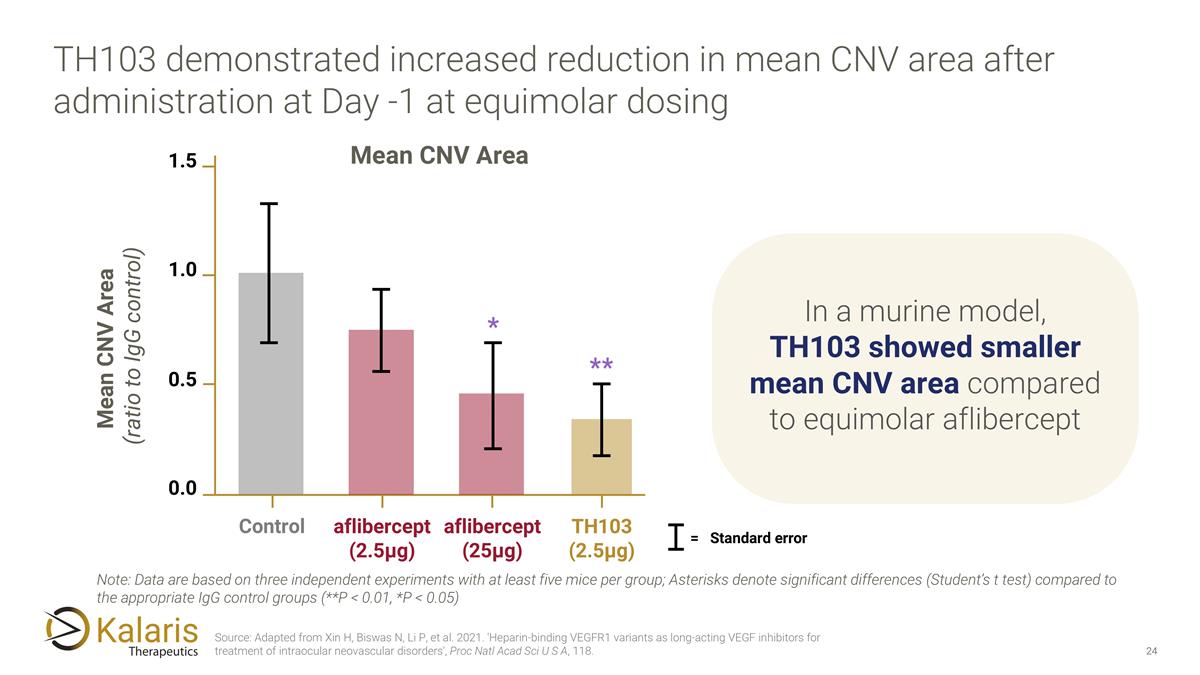 Slide 24