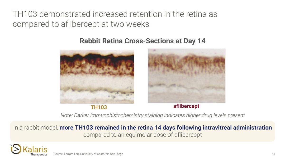 Slide 26