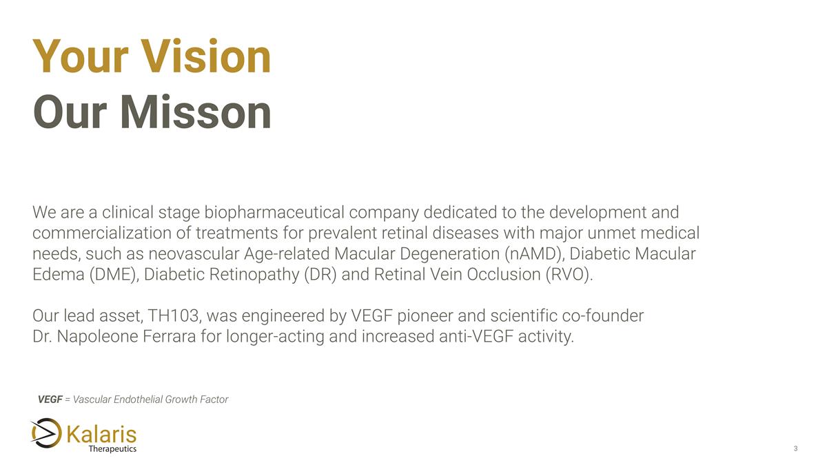 Slide 3
