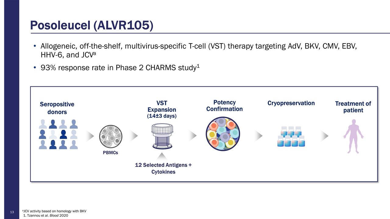 Slide 13