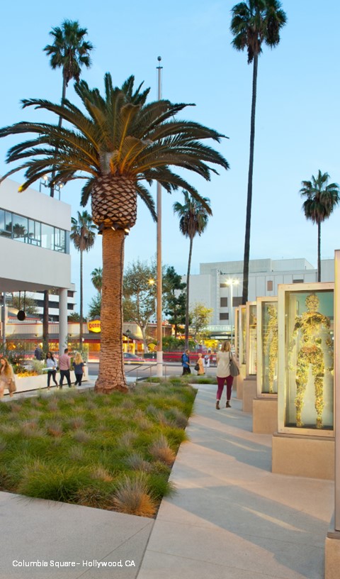 columbiasquare4a.jpg