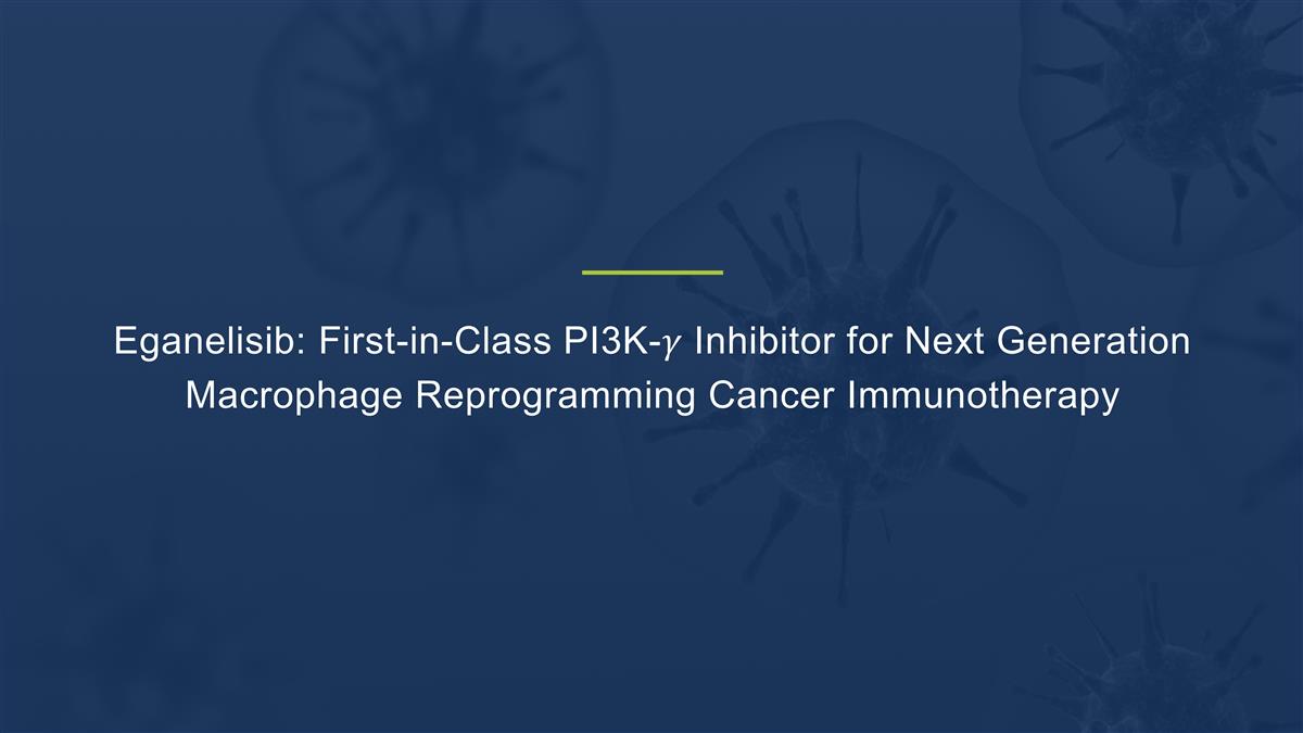 Slide 11