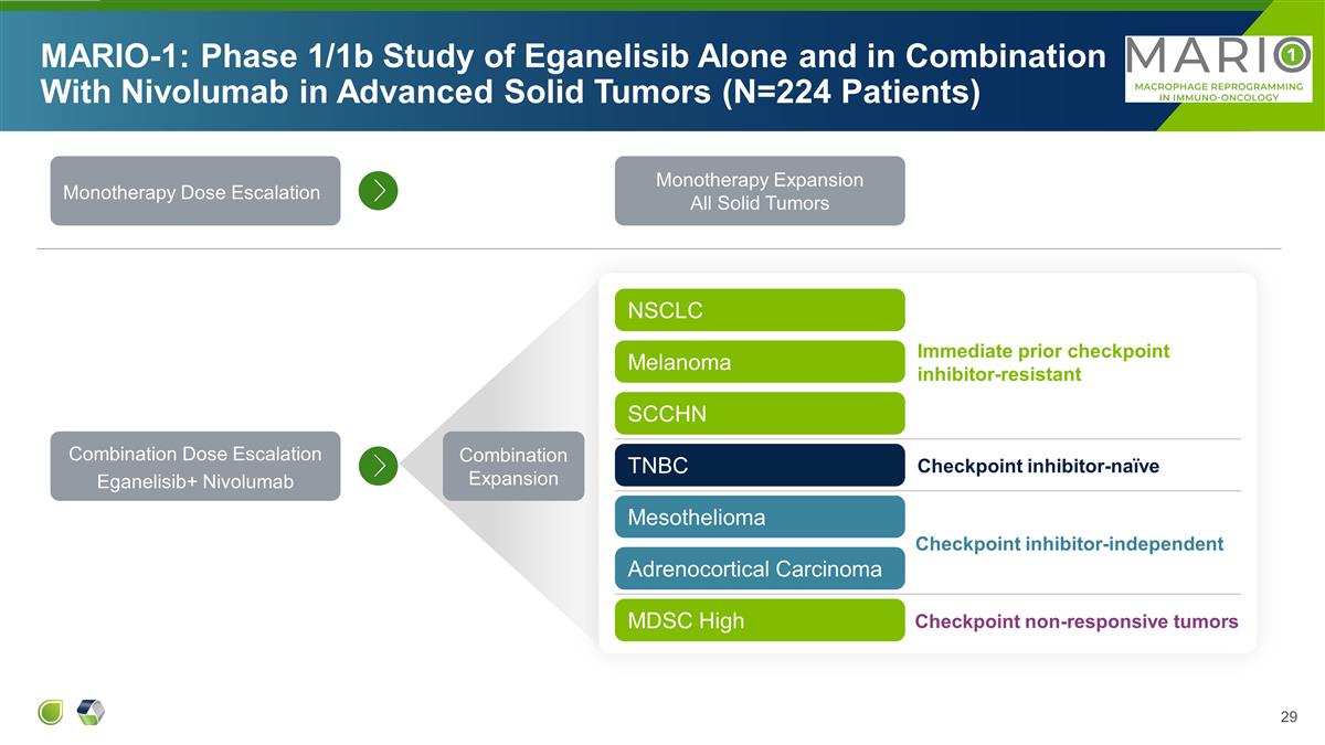 Slide 29