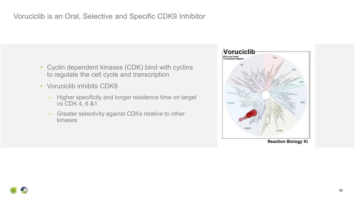 Slide 52