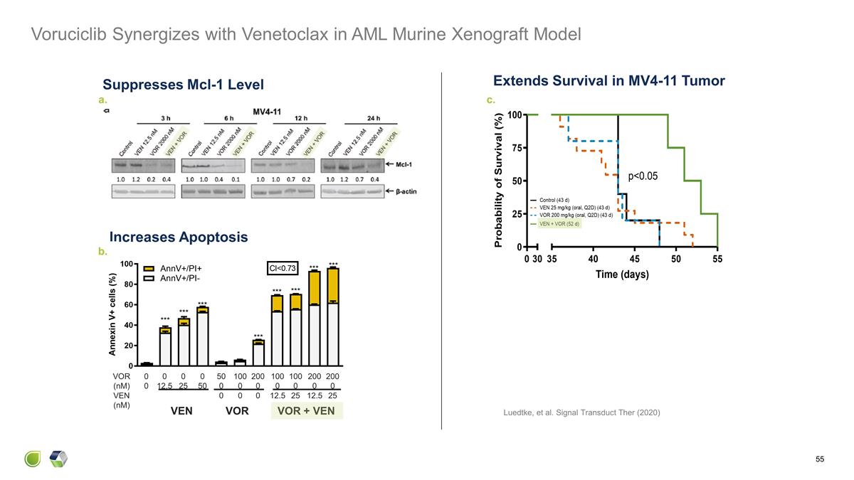 Slide 55