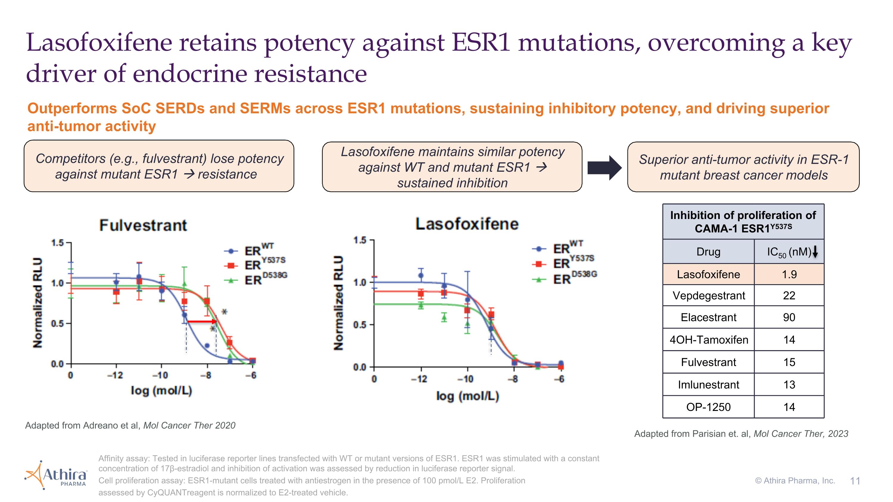 Slide 11