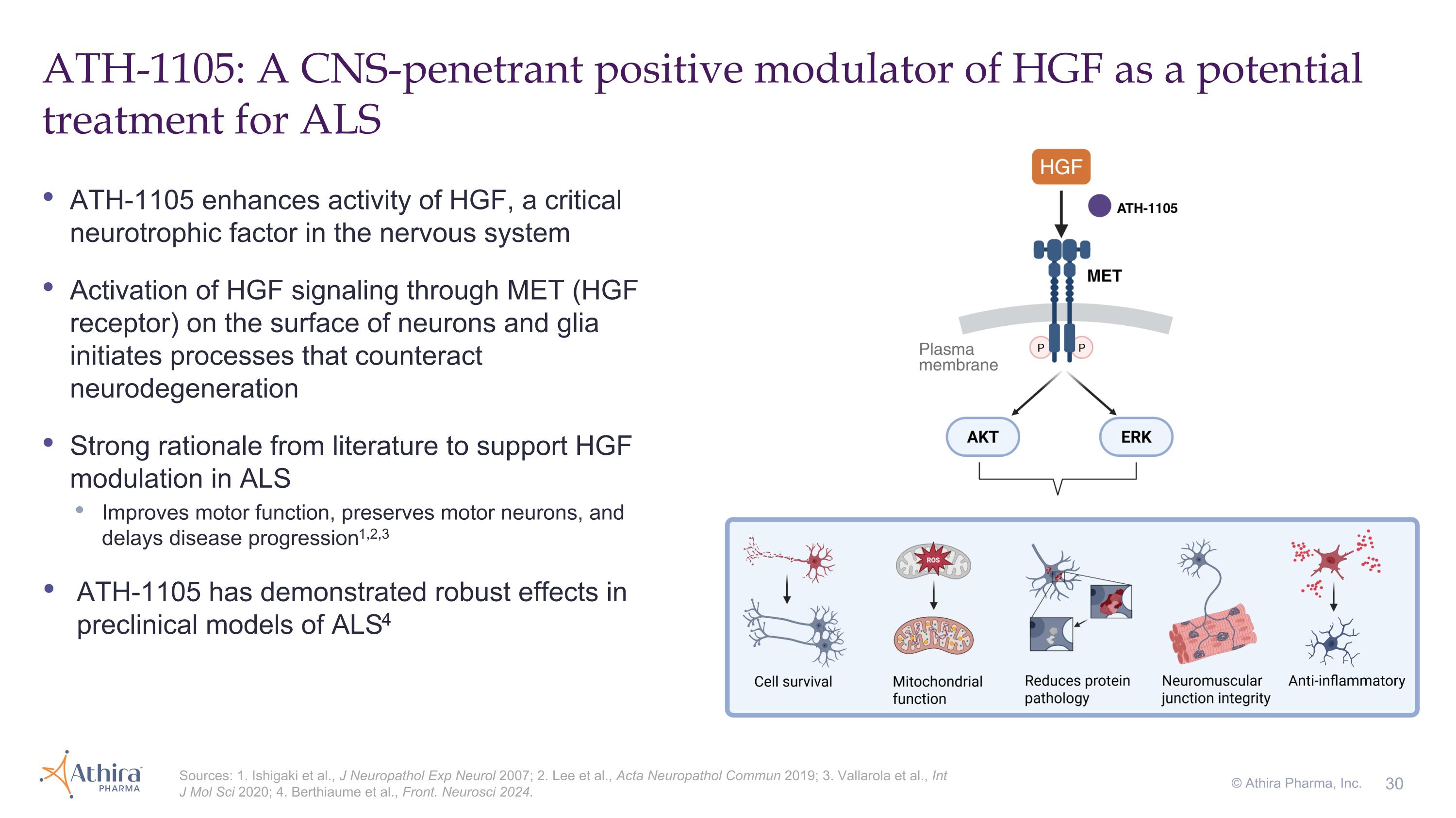 Slide 30