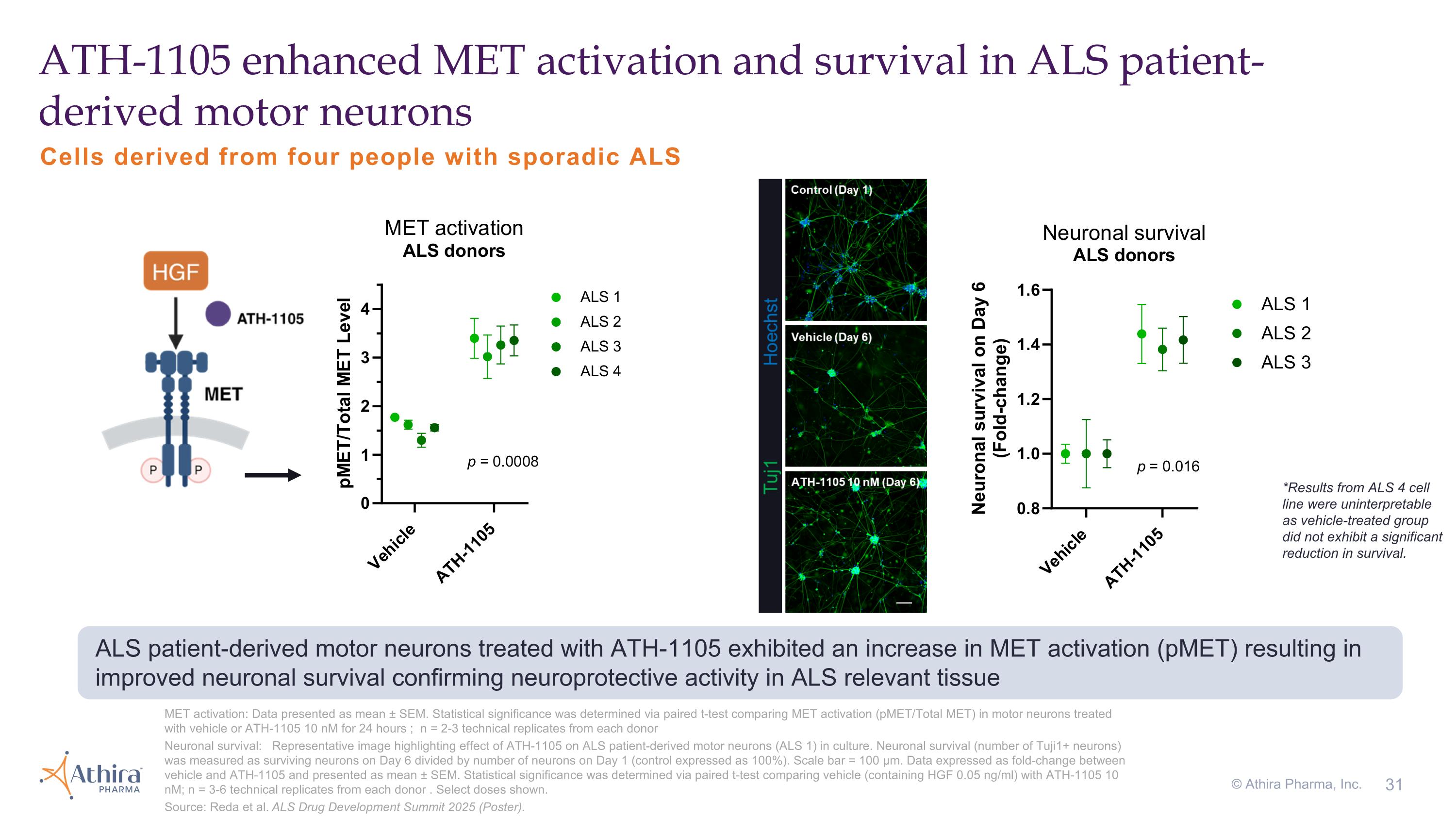 Slide 31