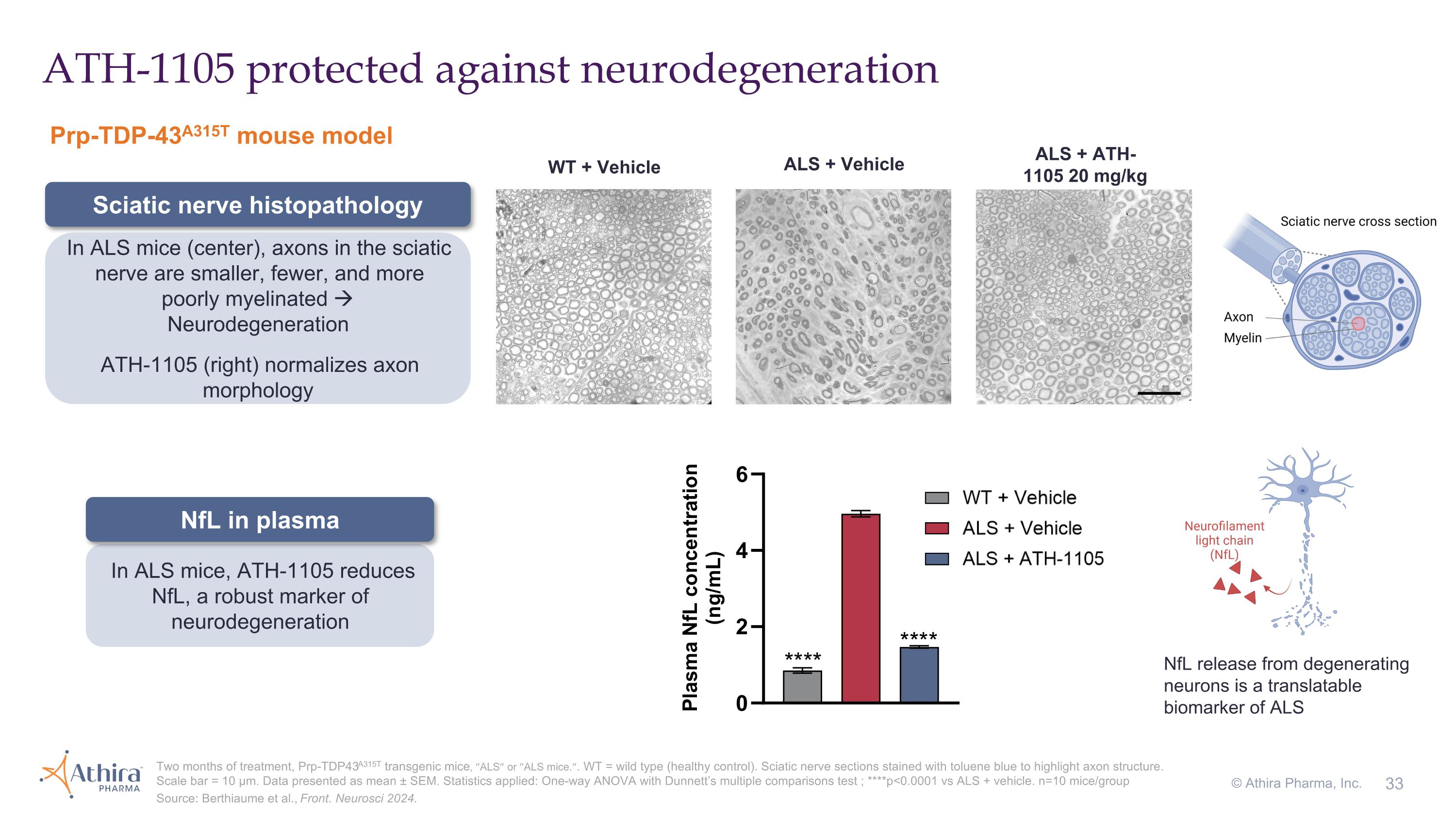 Slide 33