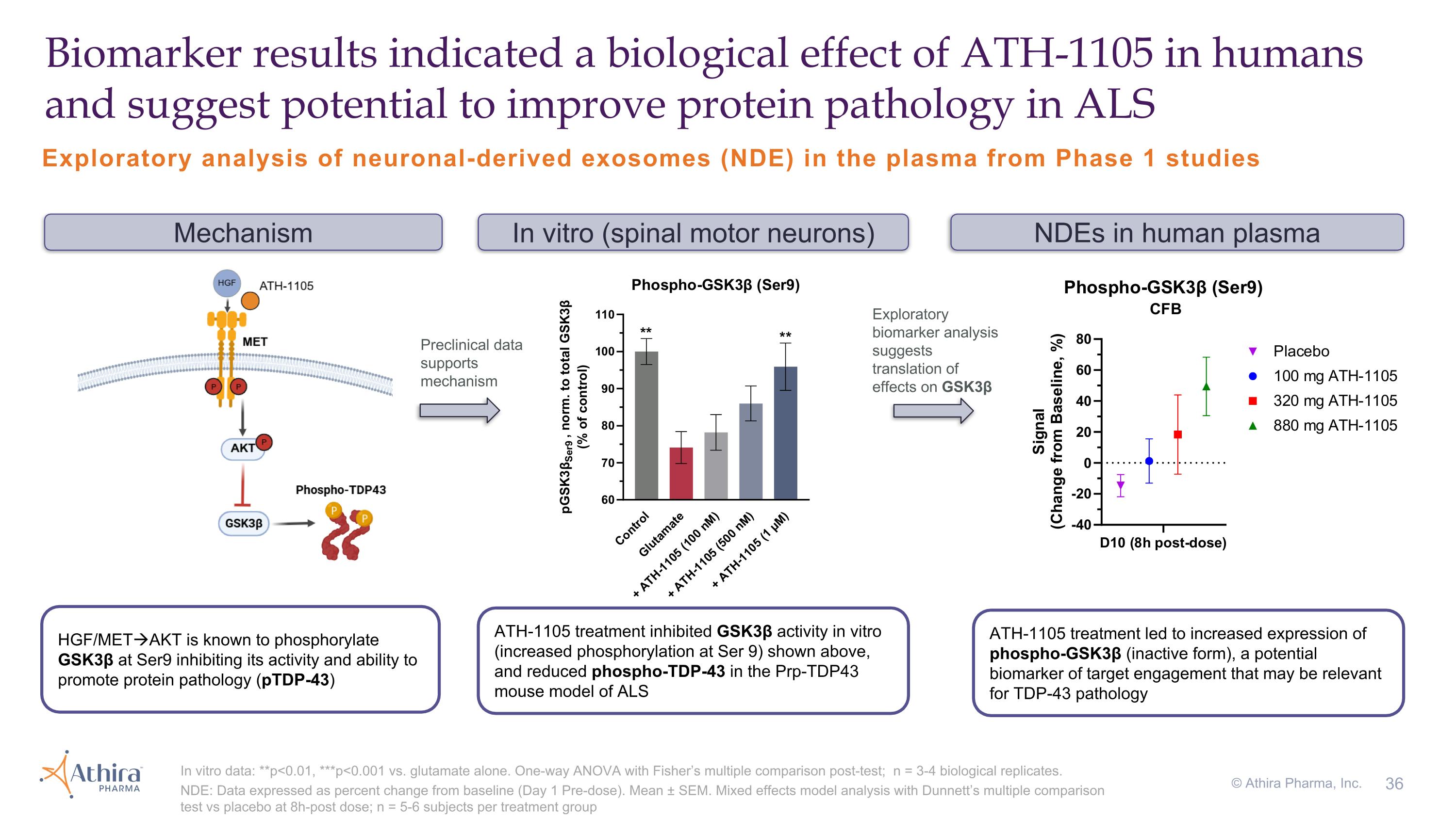 Slide 36