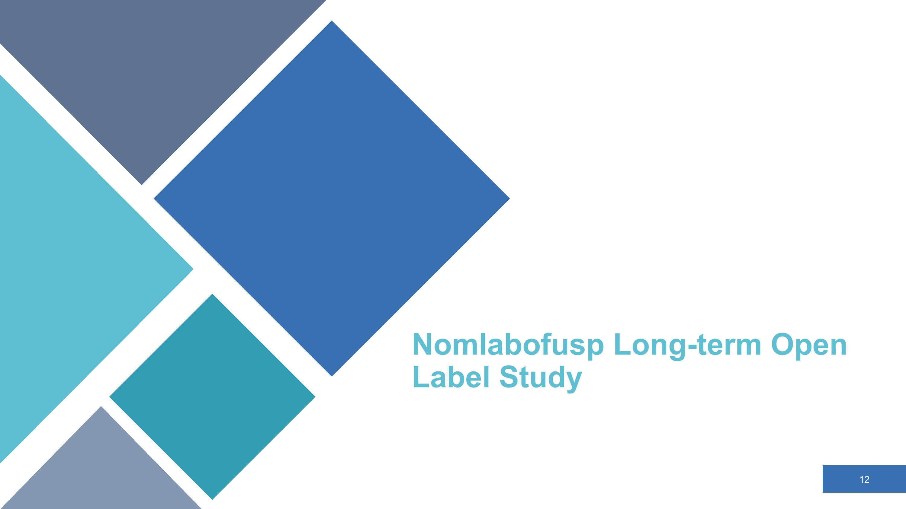 Slide 12