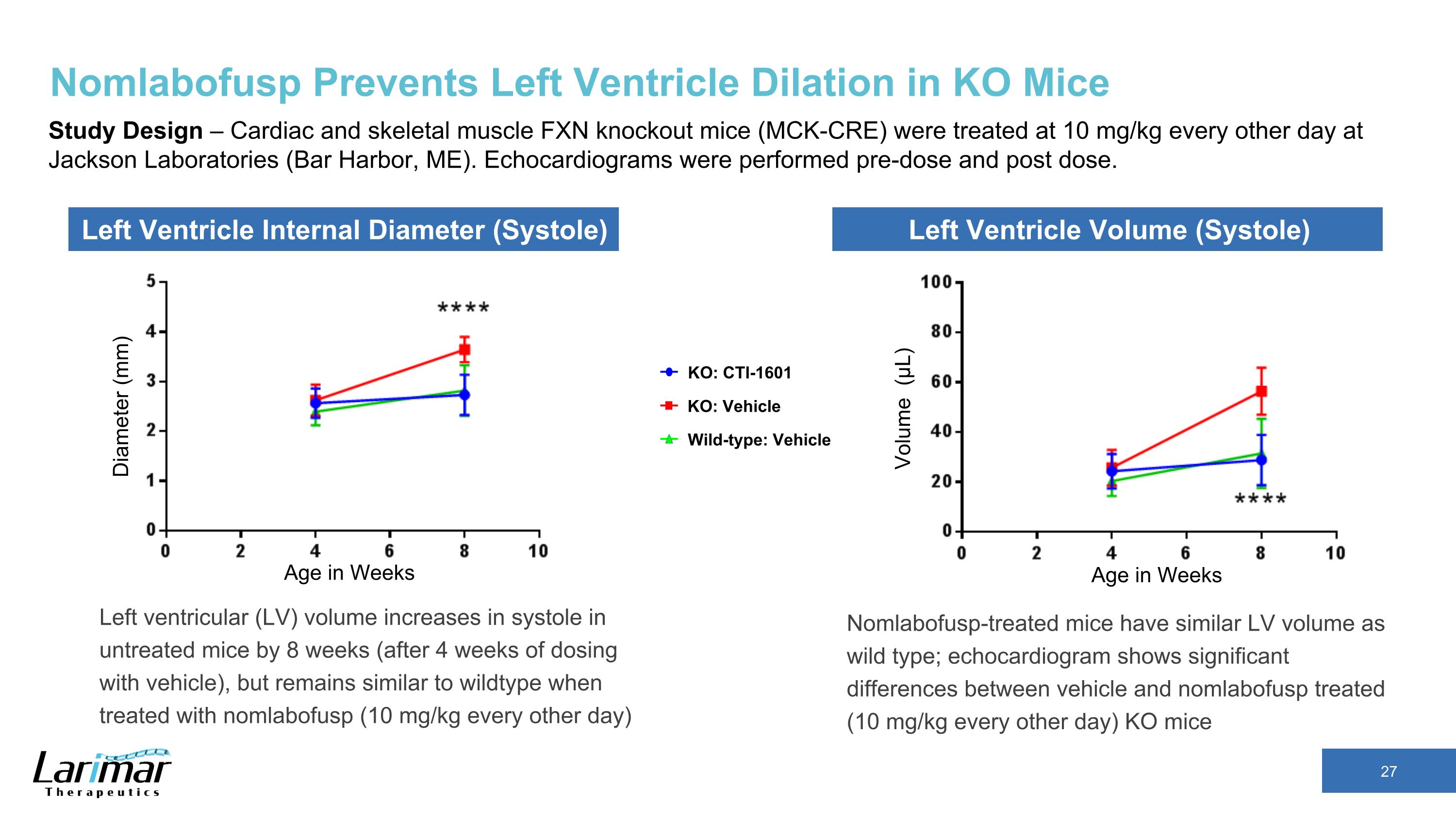 Slide 27
