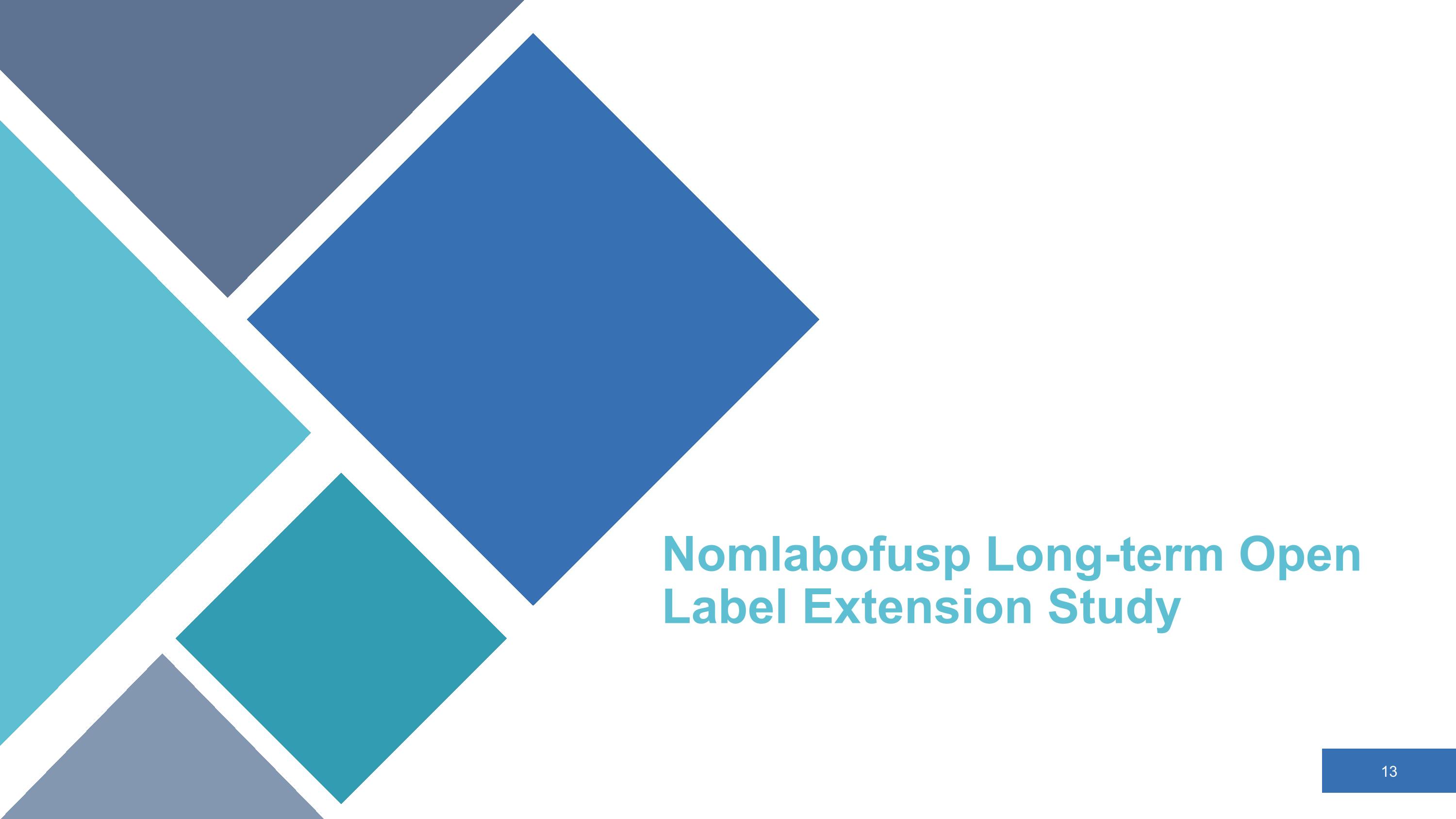 Slide 13