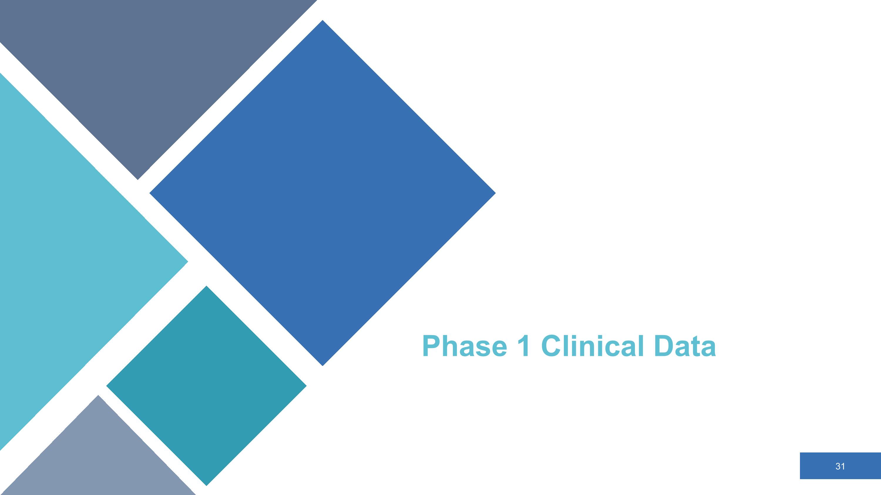 Slide 31