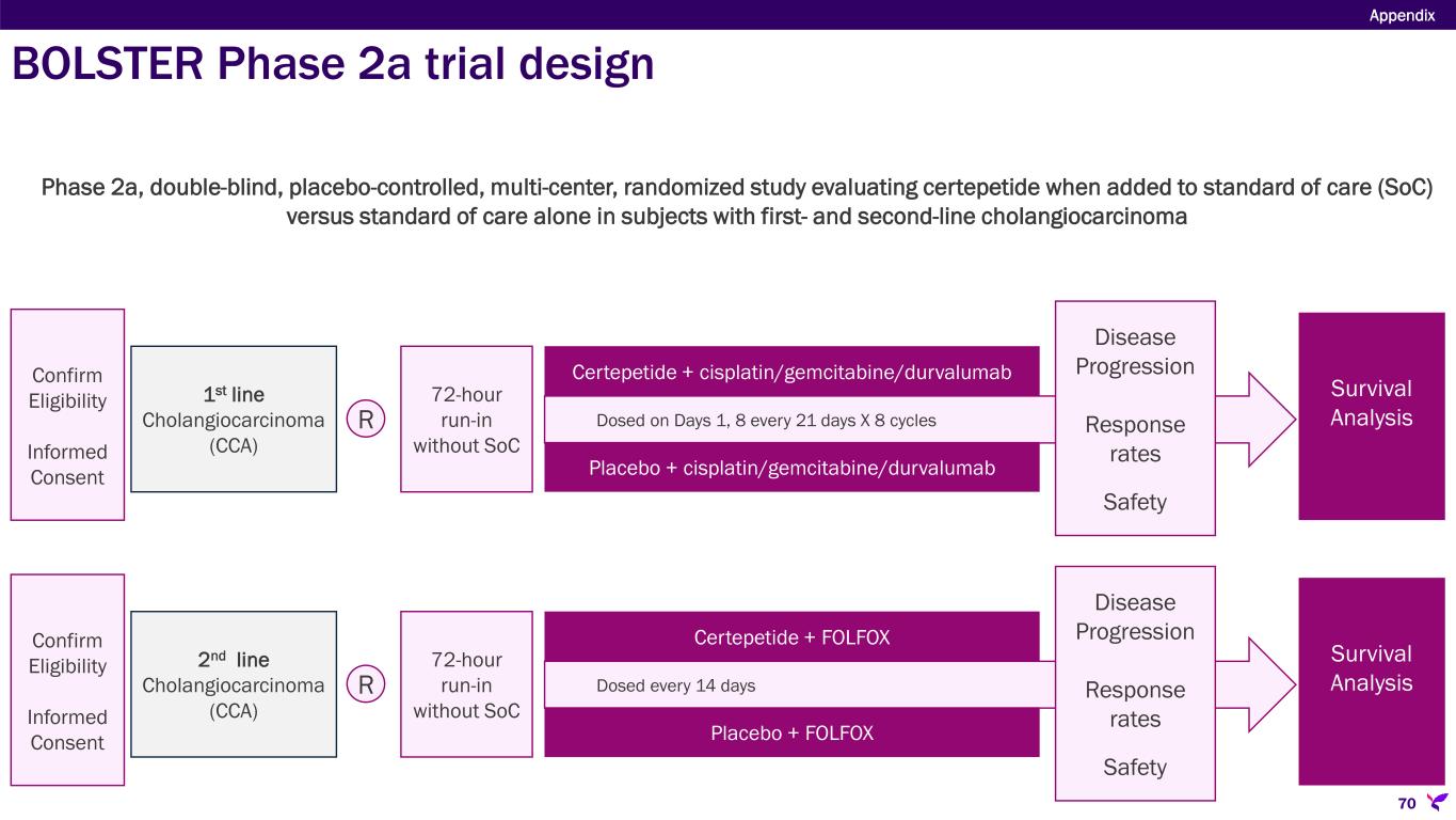 Slide 70 of 78