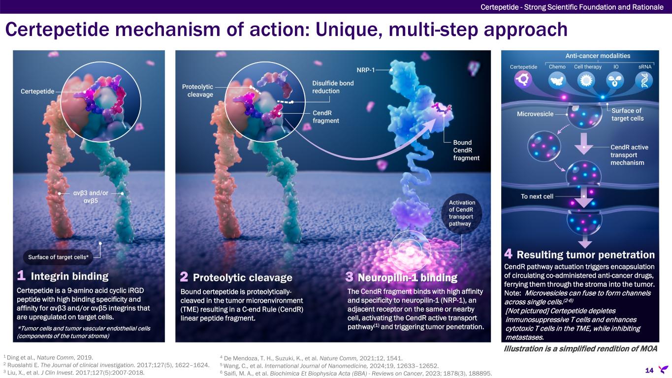 Slide 14 of 56