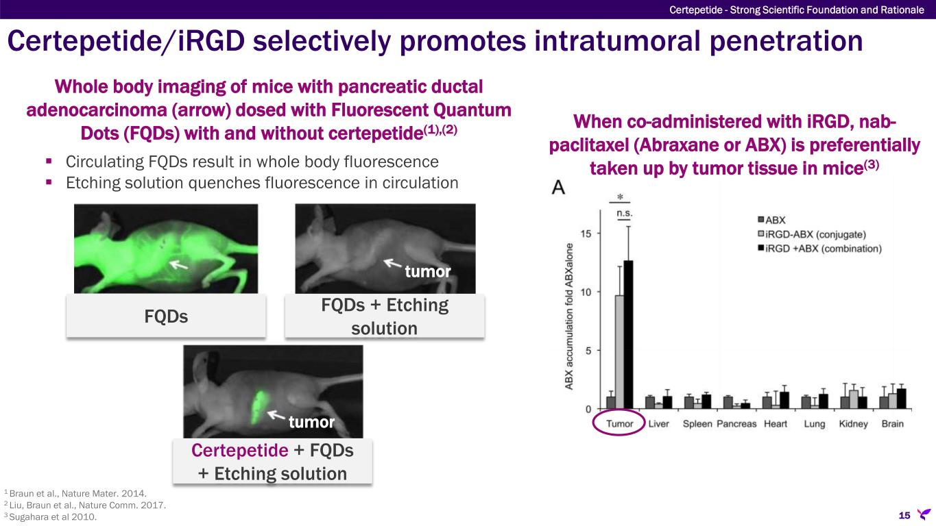 Slide 15 of 56