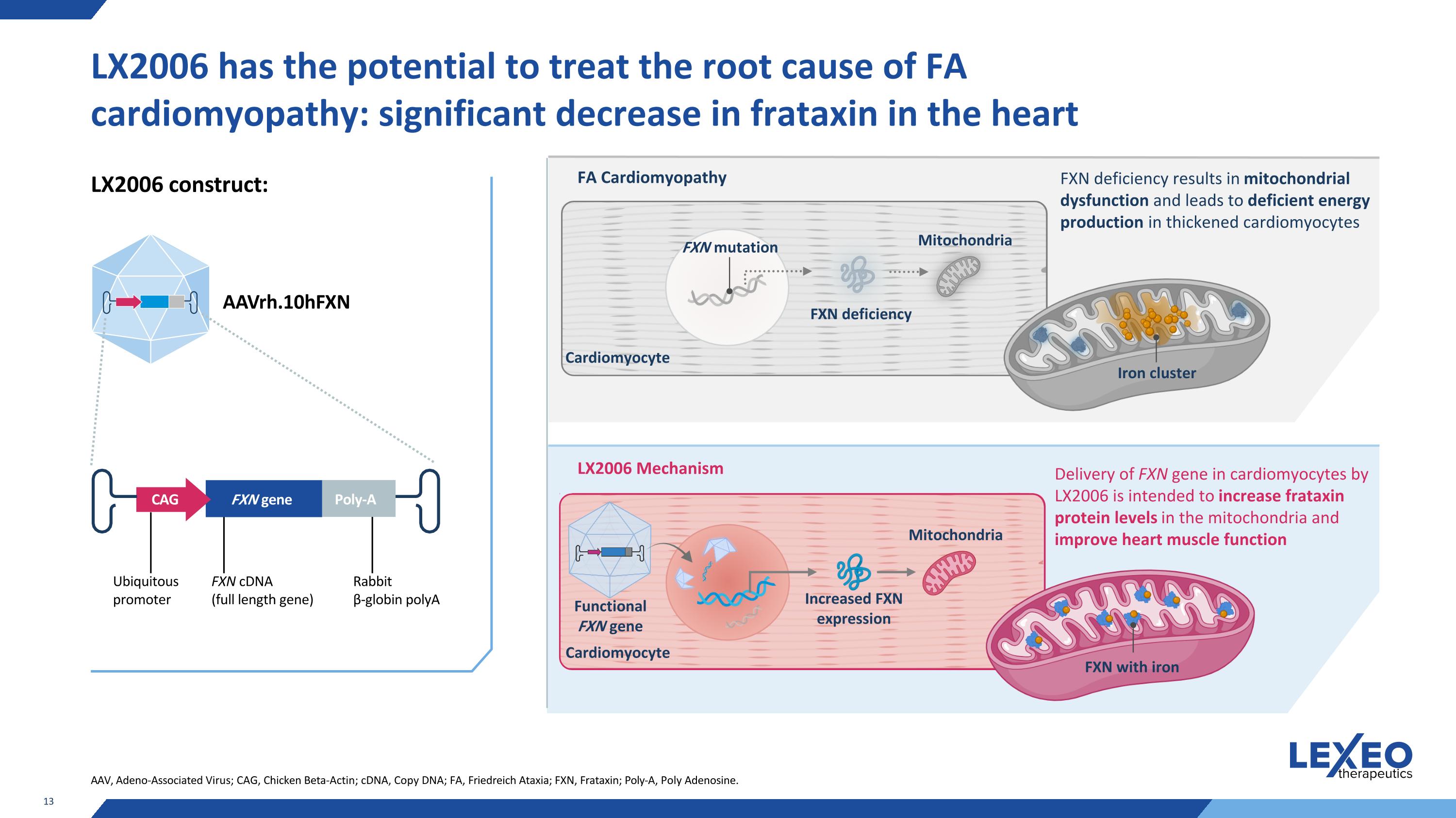 Slide 13