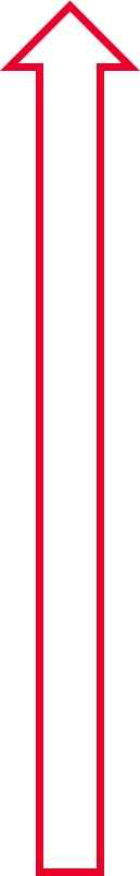 ESG Oversight (Red).jpg
