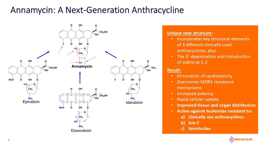 slide02.jpg