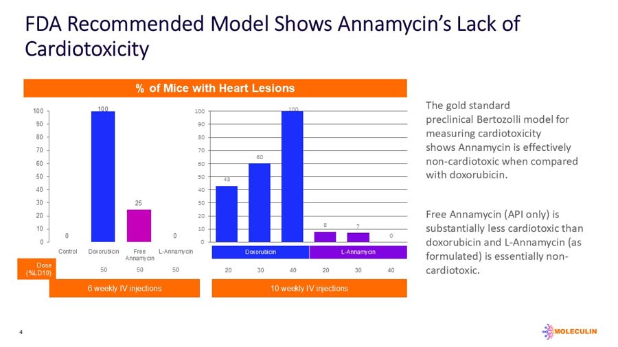 slide04.jpg