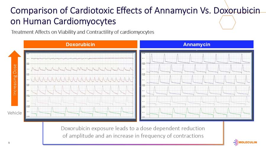 slide05.jpg