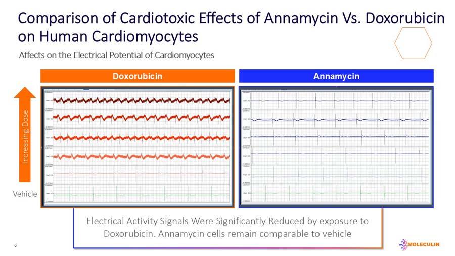 slide06.jpg