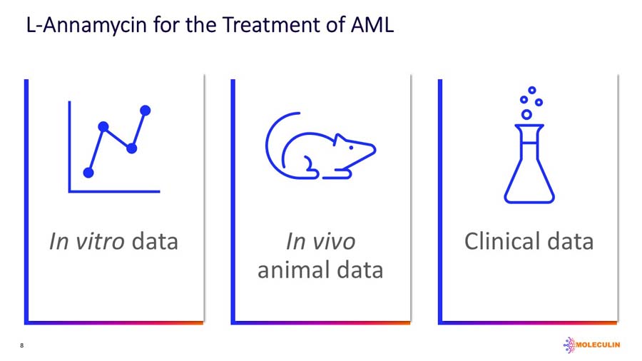 slide08.jpg
