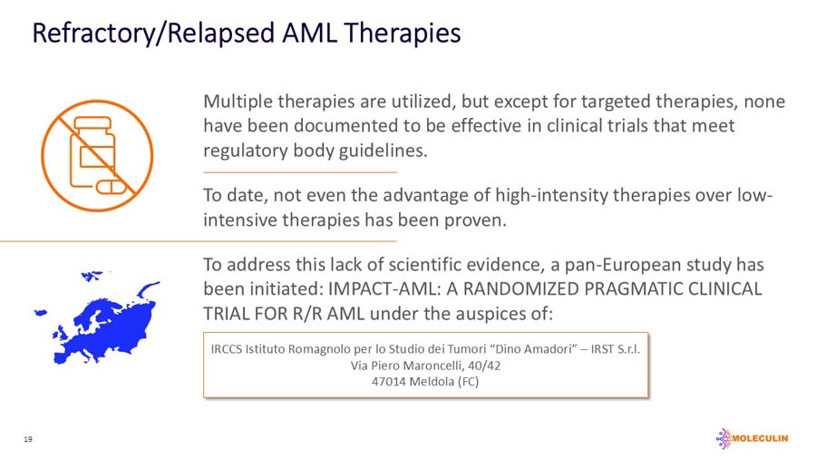 slide19.jpg