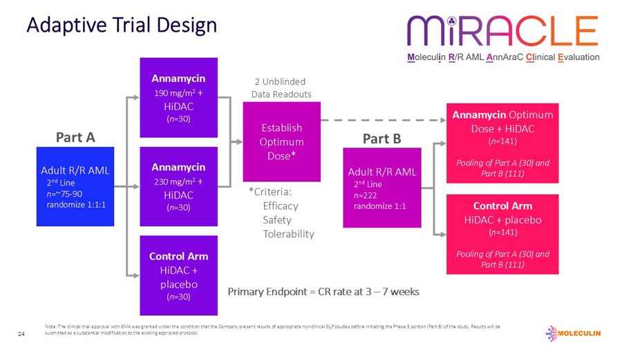 slide24.jpg